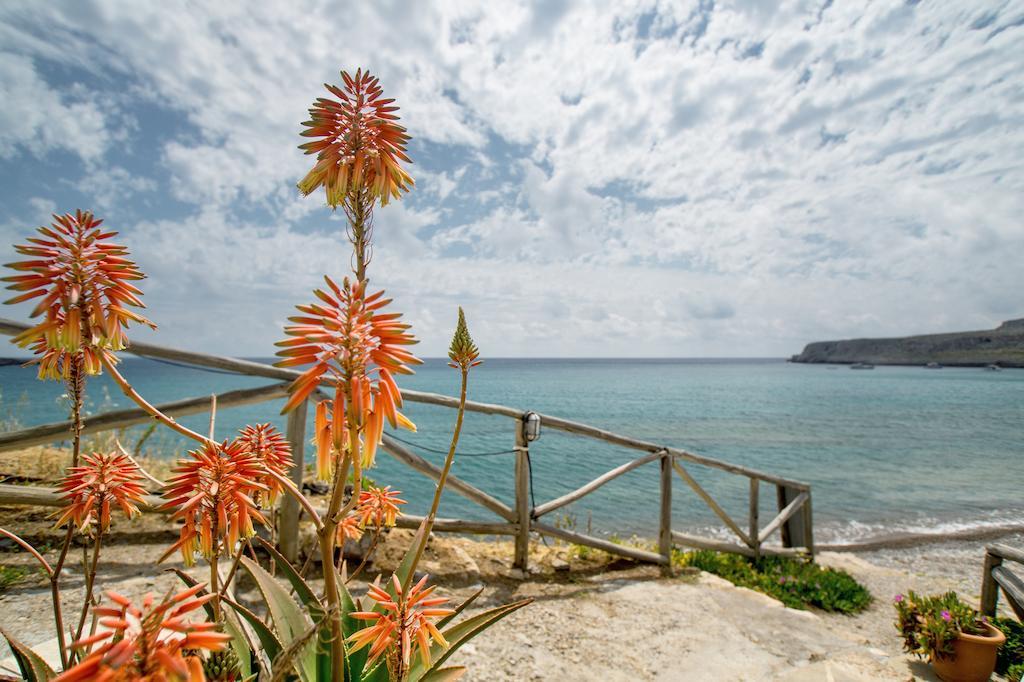 Coral Front Beach Закрос Номер фото