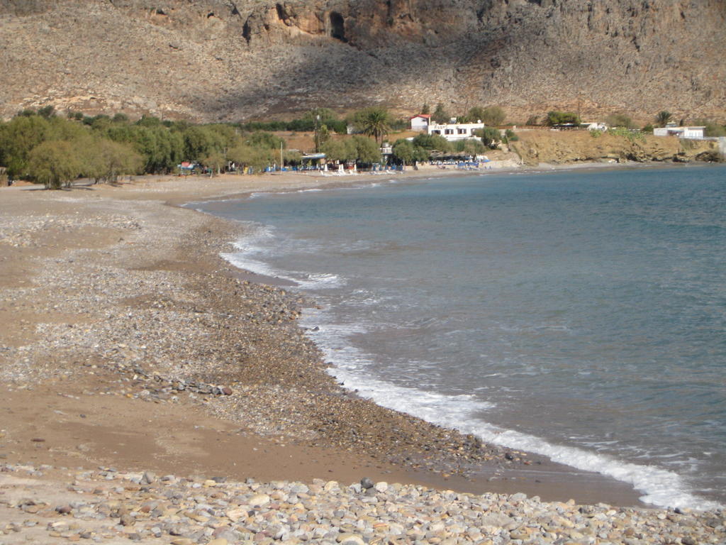 Coral Front Beach Закрос Номер фото
